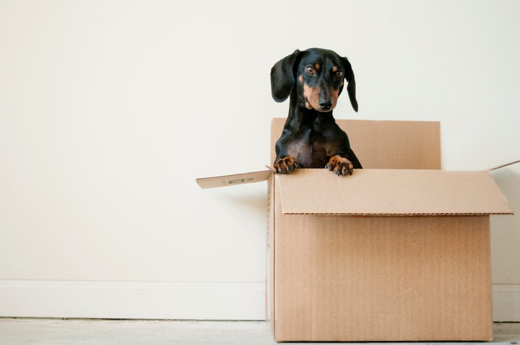 downsizing before you move